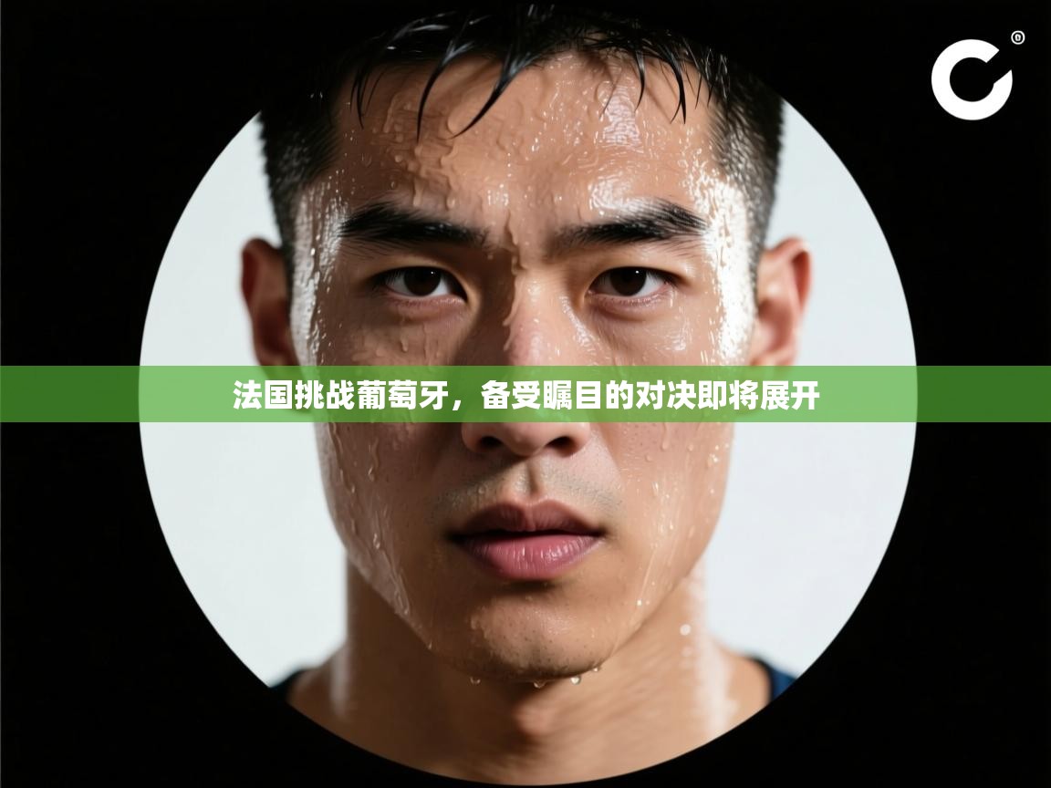 法国挑战葡萄牙，备受瞩目的对决即将展开  第1张