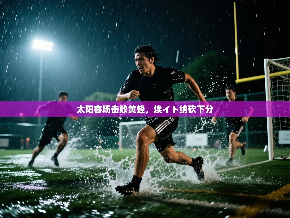 太阳客场击败黄蜂,埃イト纳砍下分 第1张